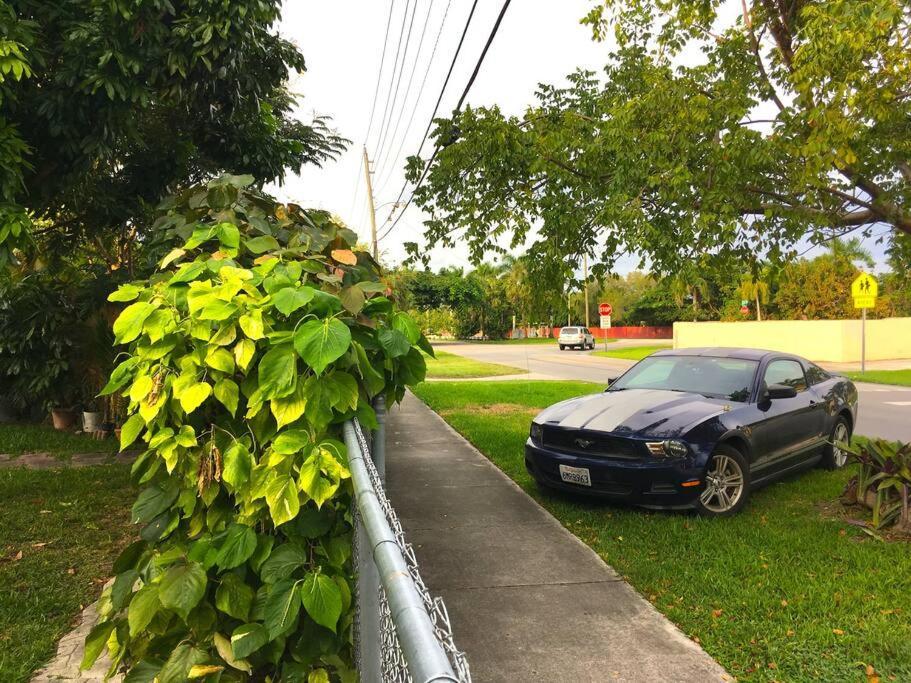 Miami Bungalow Oasis Near Everglades & The Keys Cutler Bay Eksteriør bilde