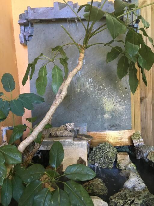 Miami Bungalow Oasis Near Everglades & The Keys Cutler Bay Eksteriør bilde