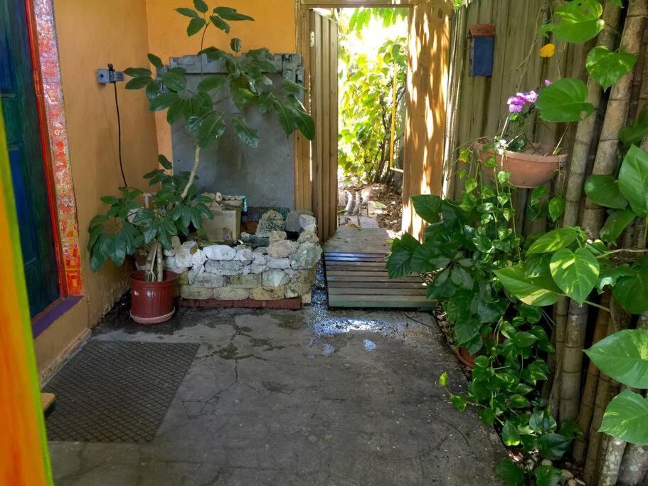 Miami Bungalow Oasis Near Everglades & The Keys Cutler Bay Eksteriør bilde